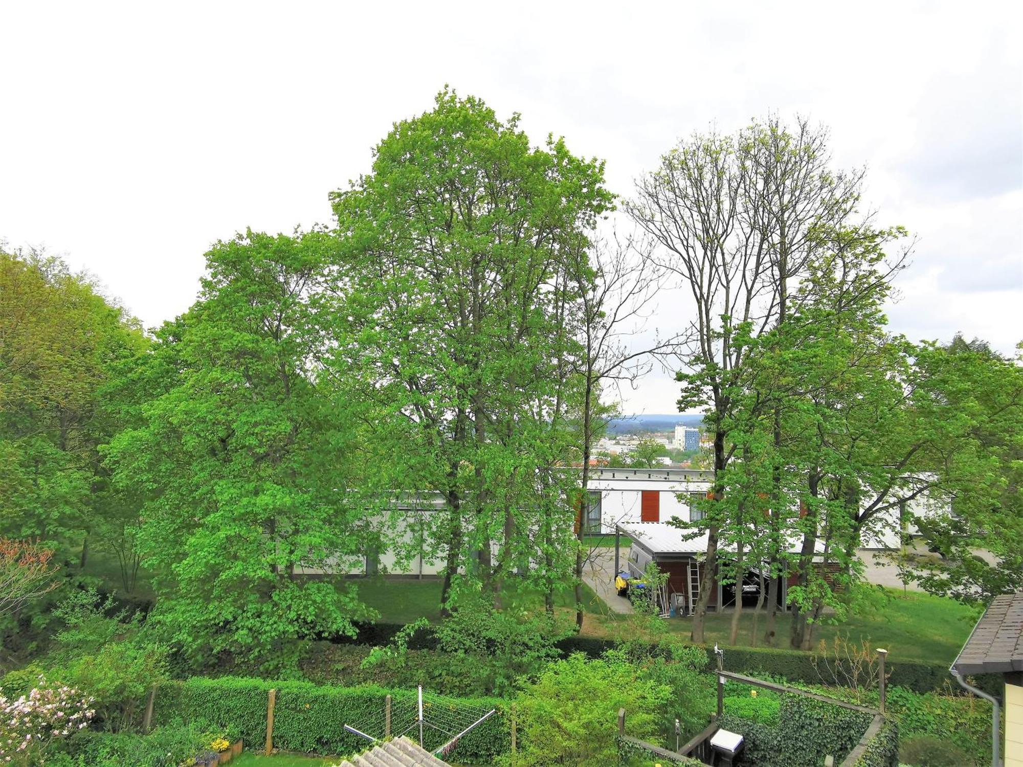 Bohnapartments - Stadtblick Zechenhaus - Balkon - Gratis Parkplatz - Wlan - Sehr Ruhig - Barrierearm Ilmenau Dış mekan fotoğraf