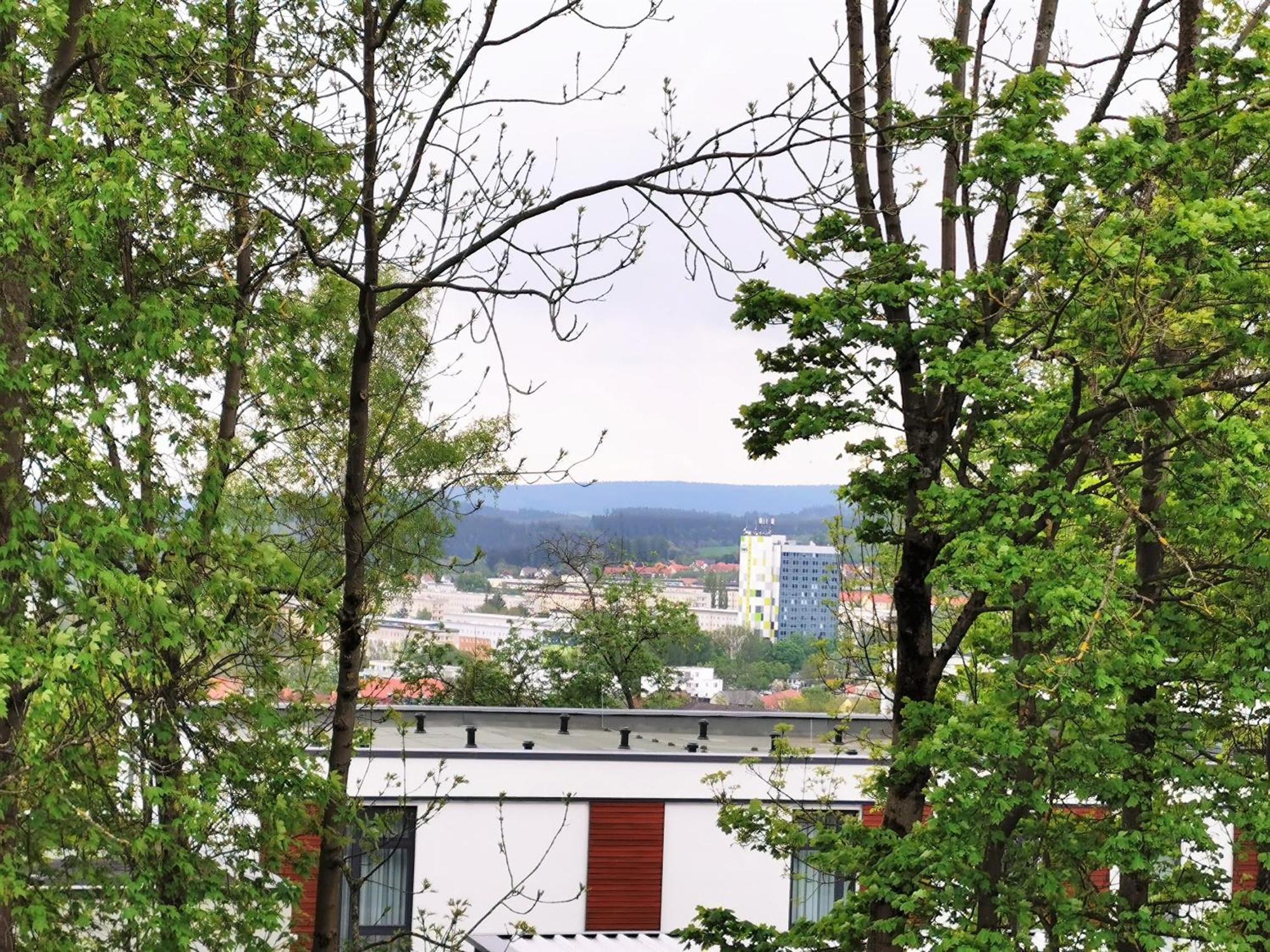 Bohnapartments - Stadtblick Zechenhaus - Balkon - Gratis Parkplatz - Wlan - Sehr Ruhig - Barrierearm Ilmenau Dış mekan fotoğraf